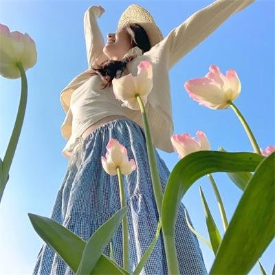 阿尔玛穆拉 海报